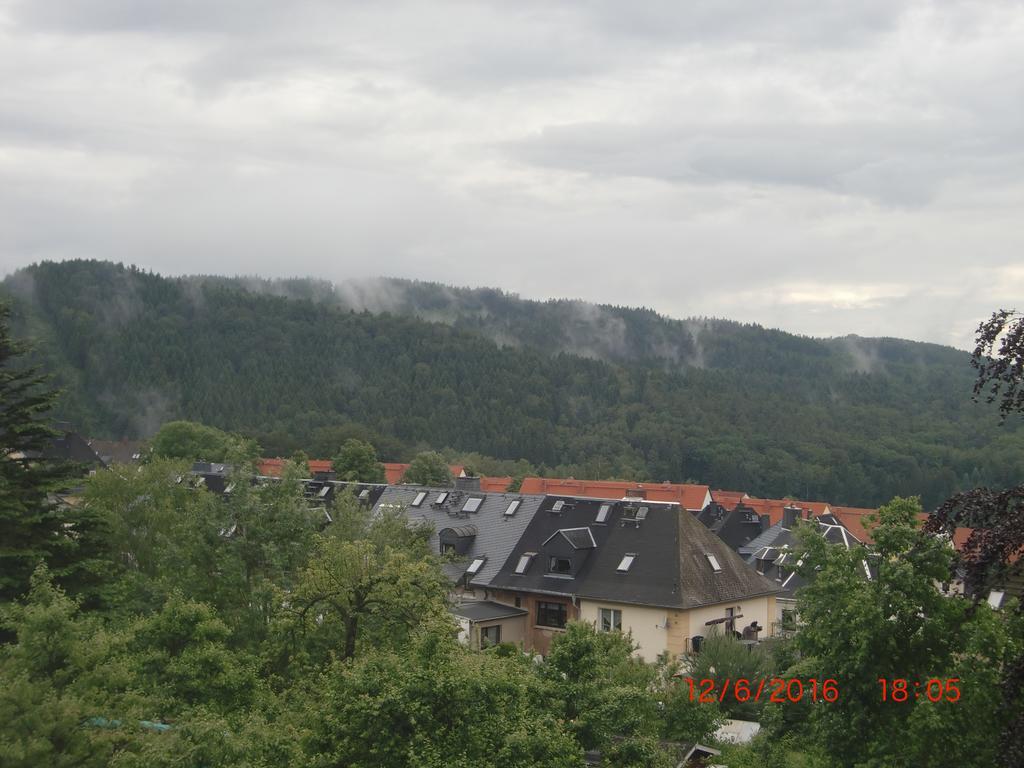 Pension Irmisch Aue  Exteriör bild
