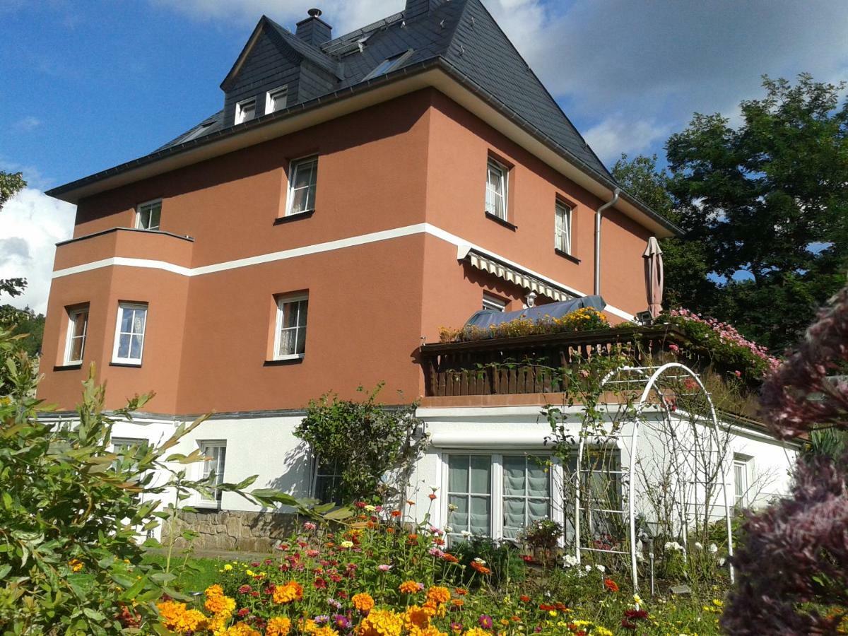 Pension Irmisch Aue  Exteriör bild